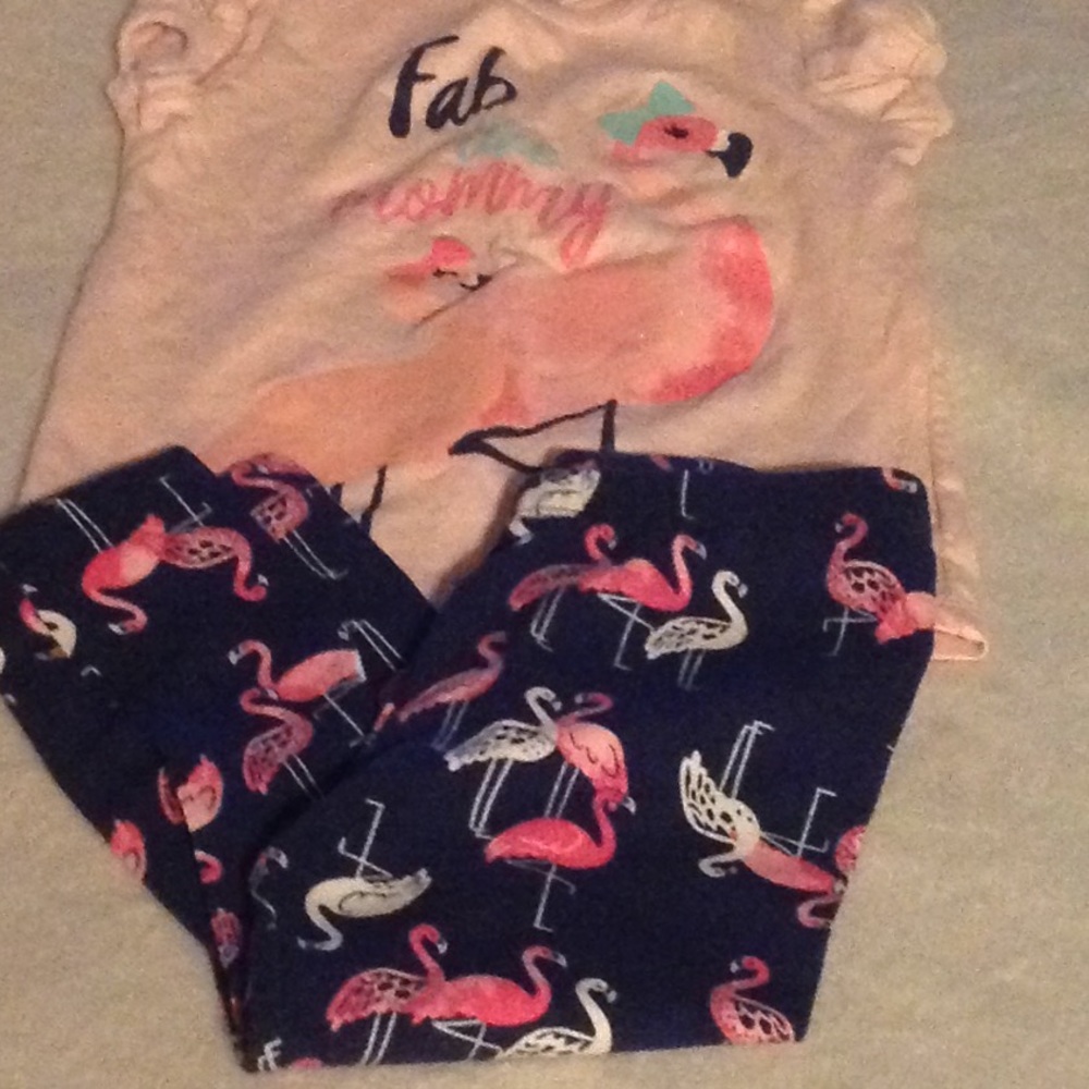 2 piece outfit shirt/leggings